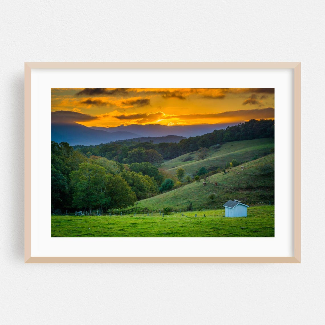 North Carolina Rolling Farm Hills Golden Sunset Landscape Poster