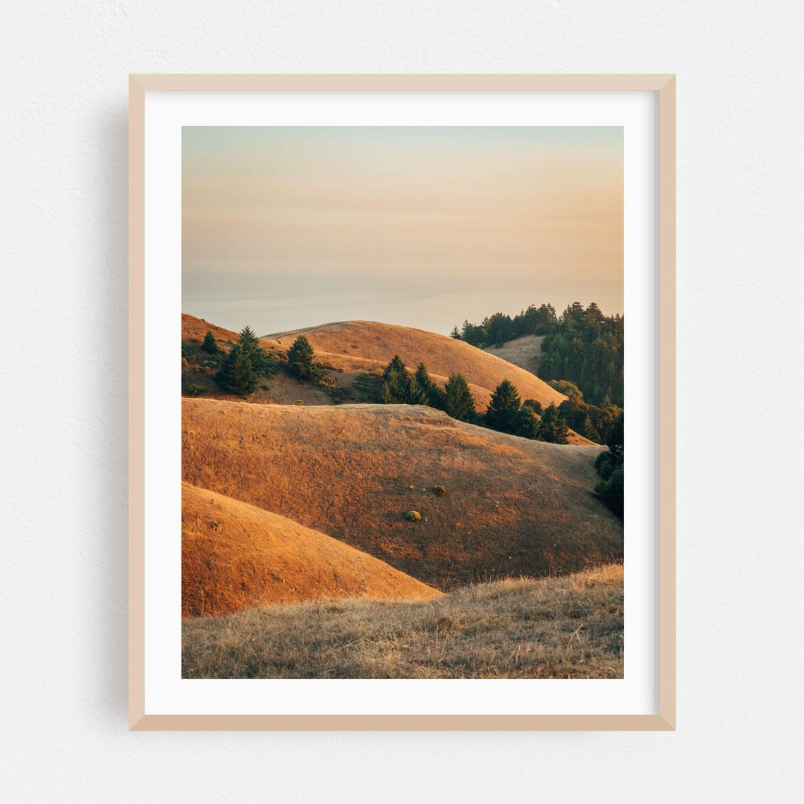 Golden Rolling Hills At Sunset California Countryside Poster