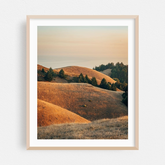 Golden Rolling Hills At Sunset California Countryside Poster
