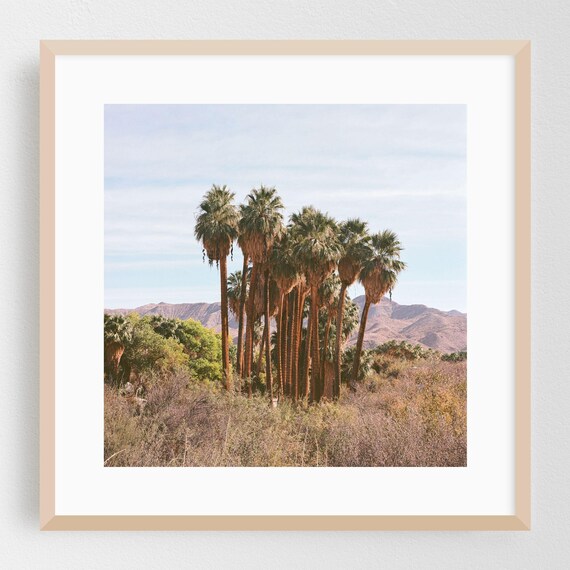 Palm Springs Print Wall Art Tree Framed Desert Home Decor Nature Poster Tropical Fine Landscape Scenic