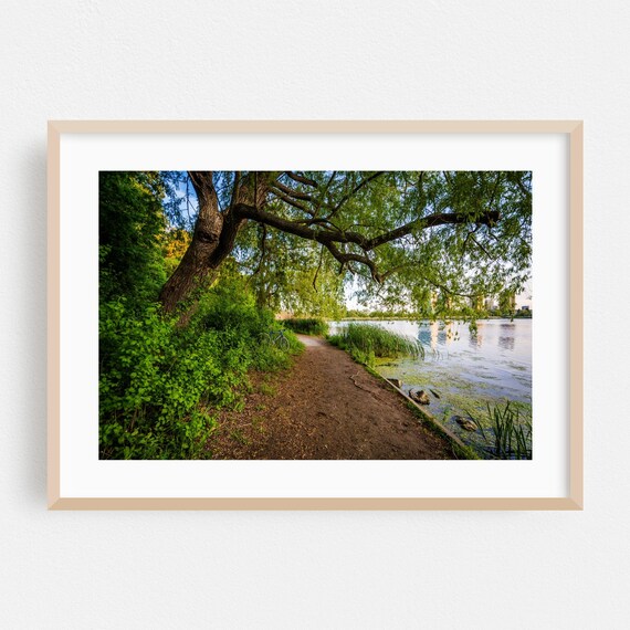 Toronto Ontario Lakeside Cycling Trail Summer Nature Photography Poster