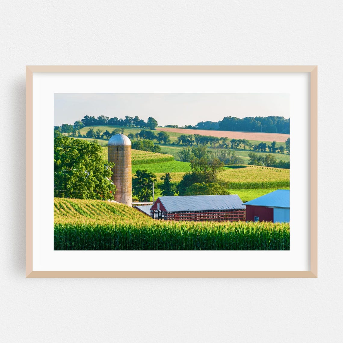 Pennsylvania Farm Cornfield Red Barn Summer Rural Landscape Poster