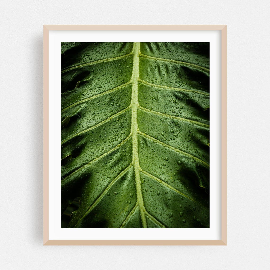 Tropical Giant Green Leaf with Water Droplets Close-Up Macro Wall Art