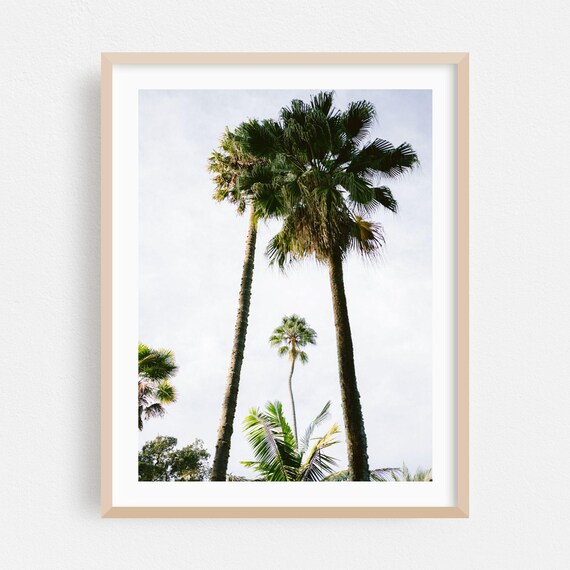 Palm Tree Print Tropical Wall Art Nature Framed Scenic Home Decor Summer Poster Botanical Fine Minimalist Photography