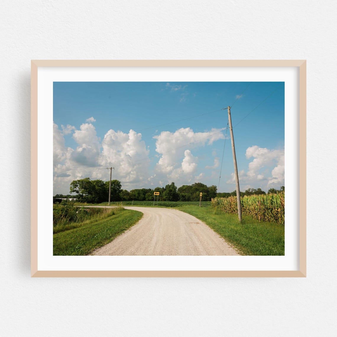 Illinois Country Road Cornfield Summer Blue Sky Photo Poster