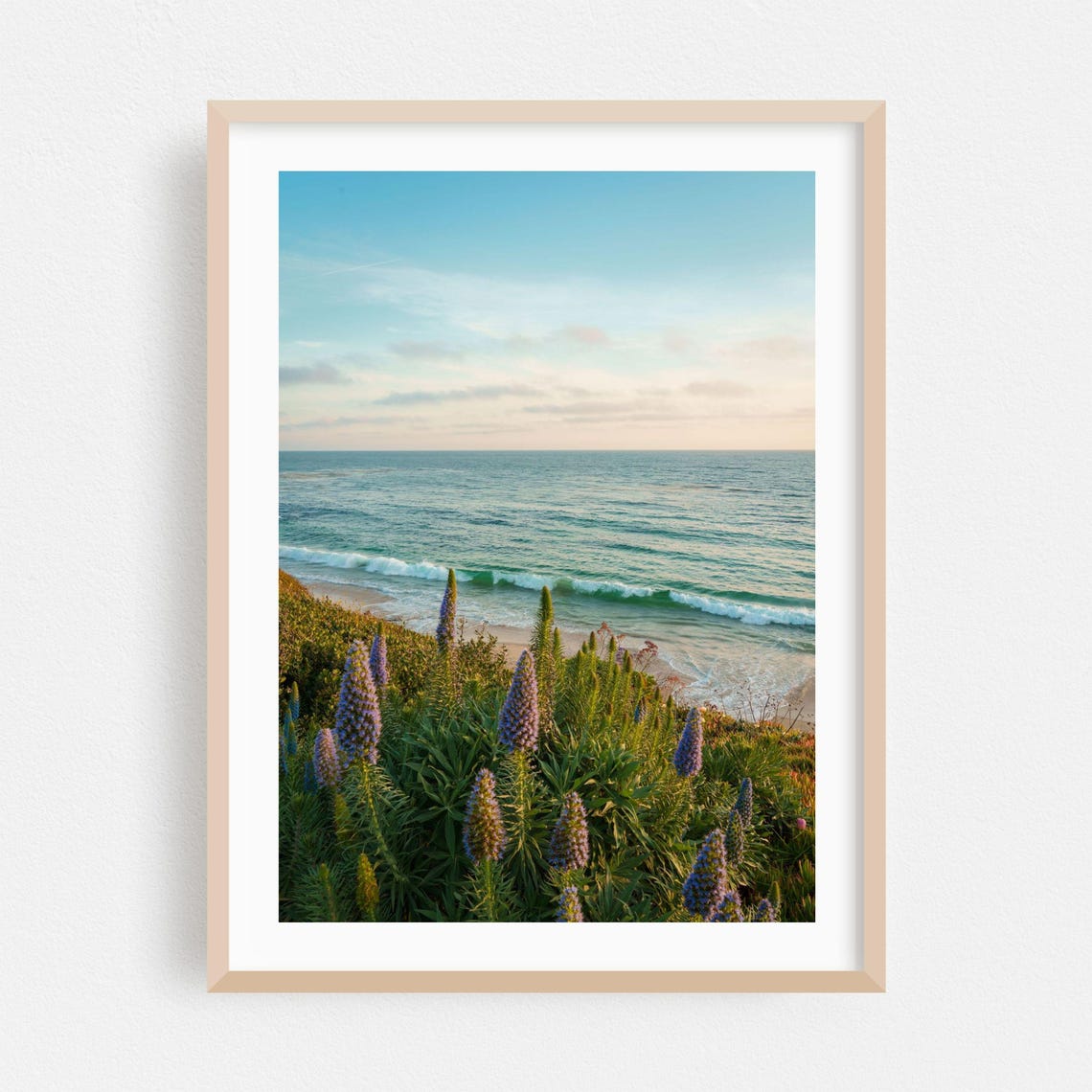 Laguna Beach Wildflower Cliffside Coastal Sunset Photo Poster