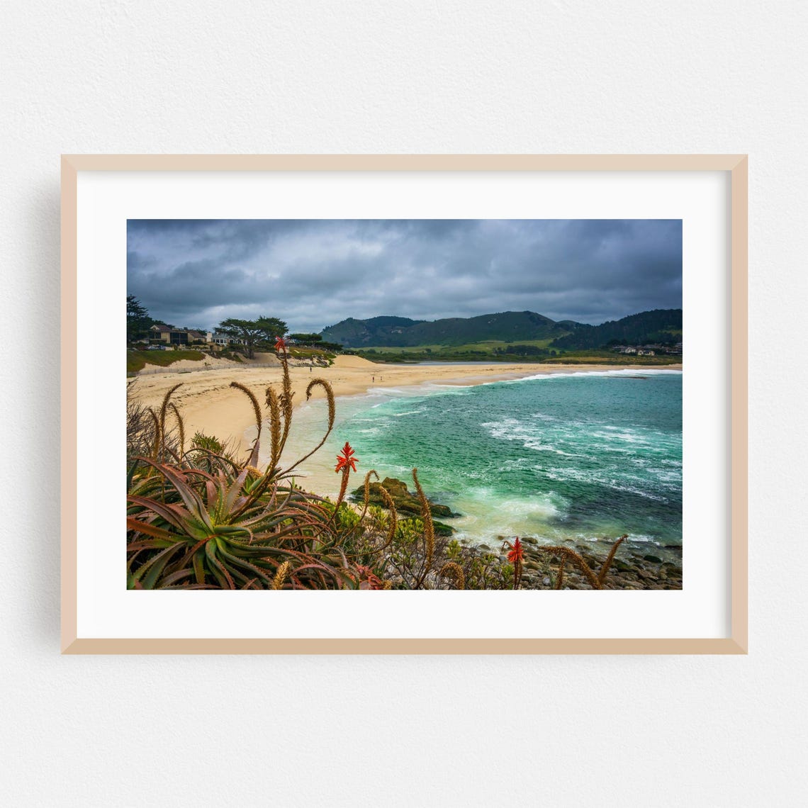 Monterey California Beach Cove Aloe Flowers Moody Sky Poster