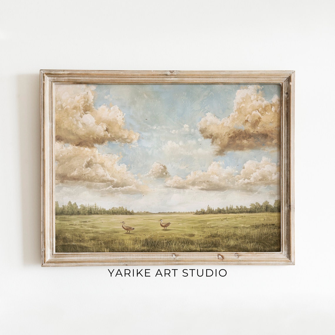 Ducks in Green Meadow Dramatic Cloudy Sky Country Landscape Poster