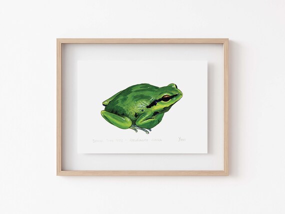 Sierran Tree Frog Art Print, Bay Area Wildlife