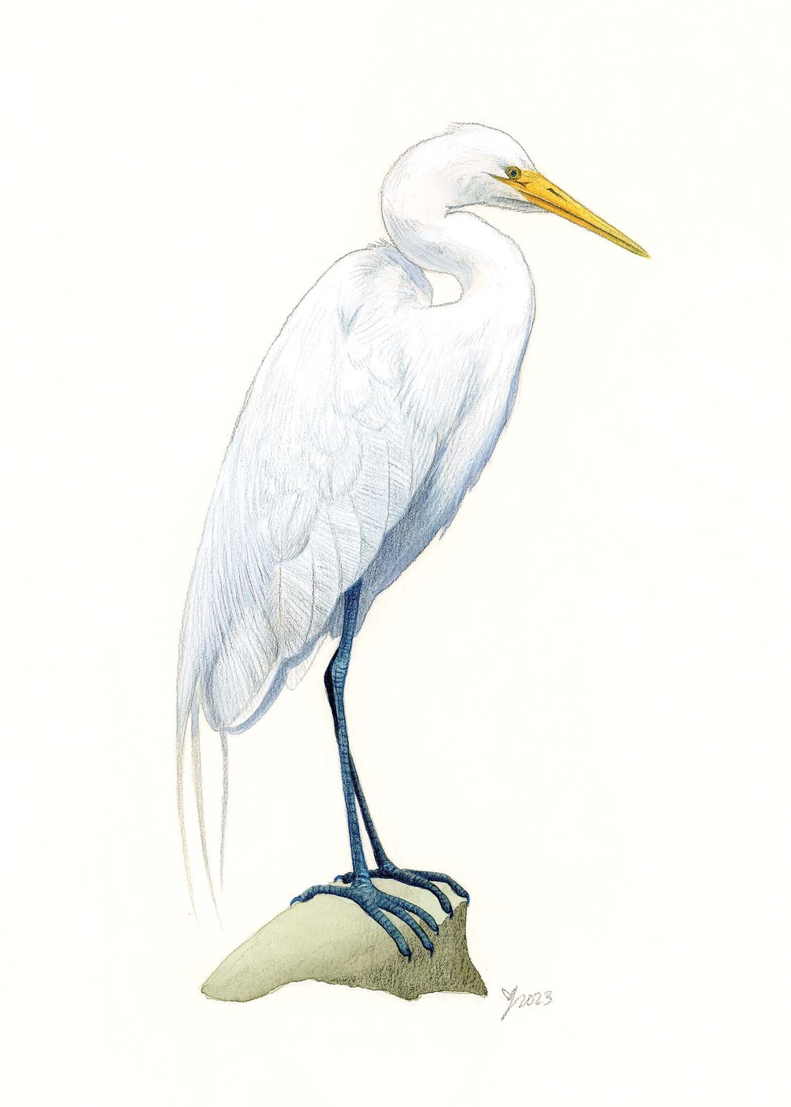 Great Egret Watercolor Portrait Standing on Stone Bird Poster - Image 2