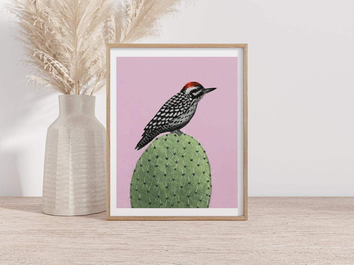 Woodpecker Perched on Cactus Against a Pink Background Art Poster