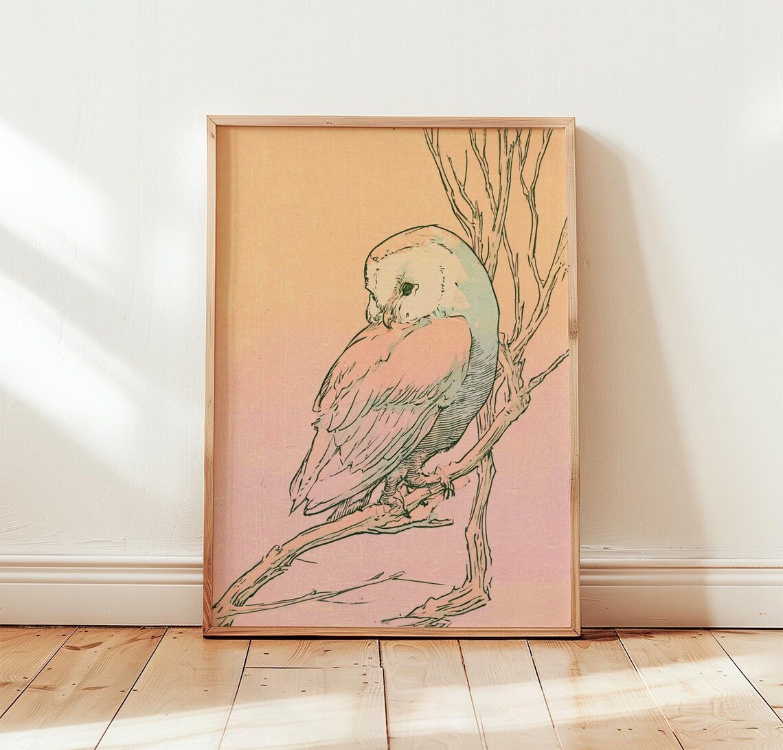 Barn Owl Vintage Bird Art Print, Nature Sketch