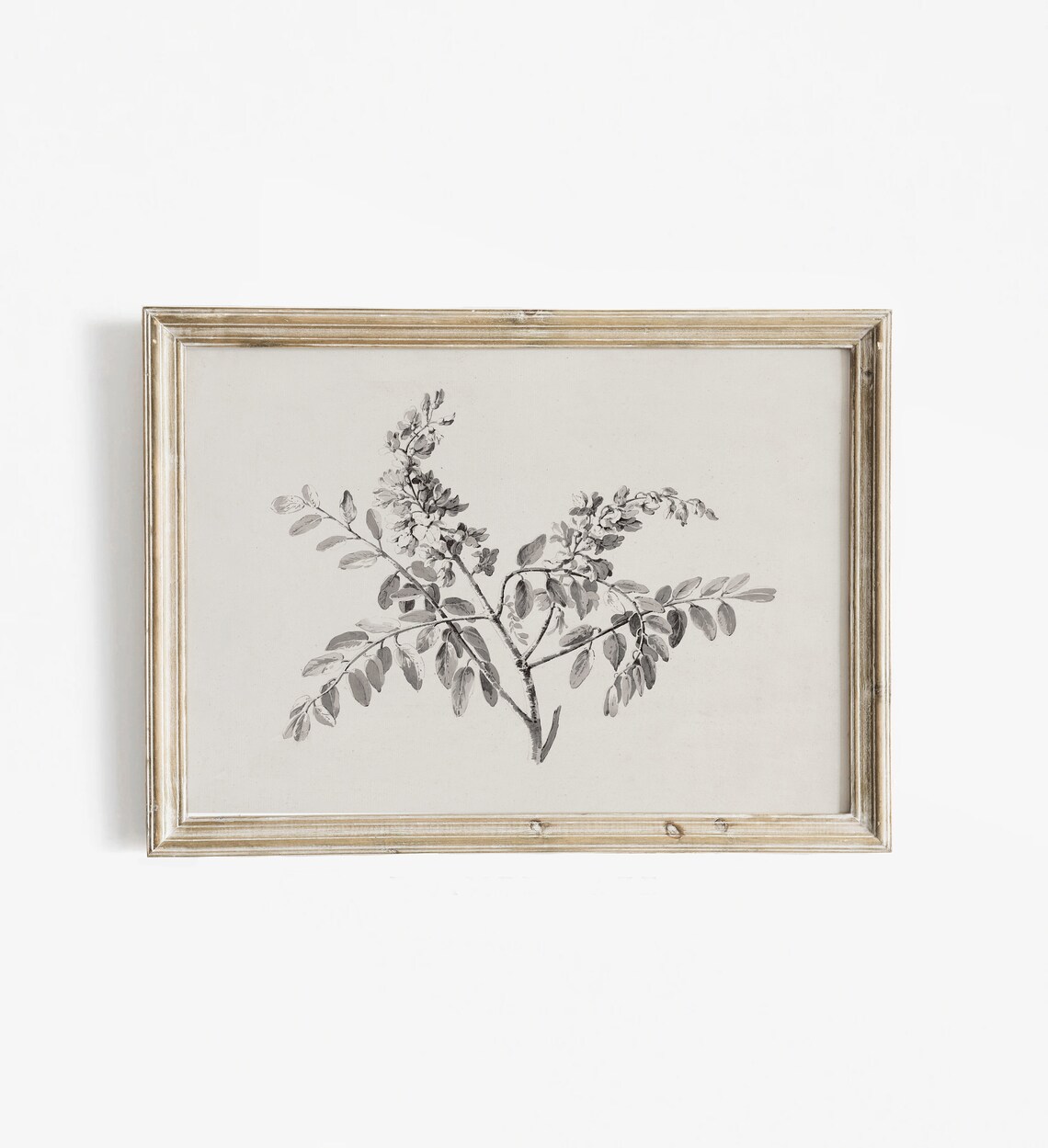 Vintage Botanical Branch Sketch Flowering Twigs Ink Drawing Poster - Image 4