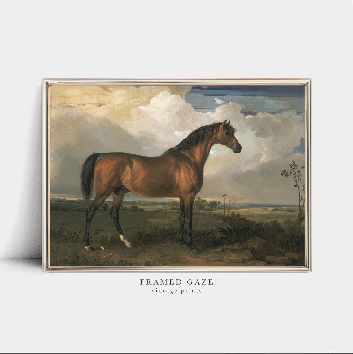 Vintage Bay Horse Portrait Equestrian Oil Painting Landscape Wall Art