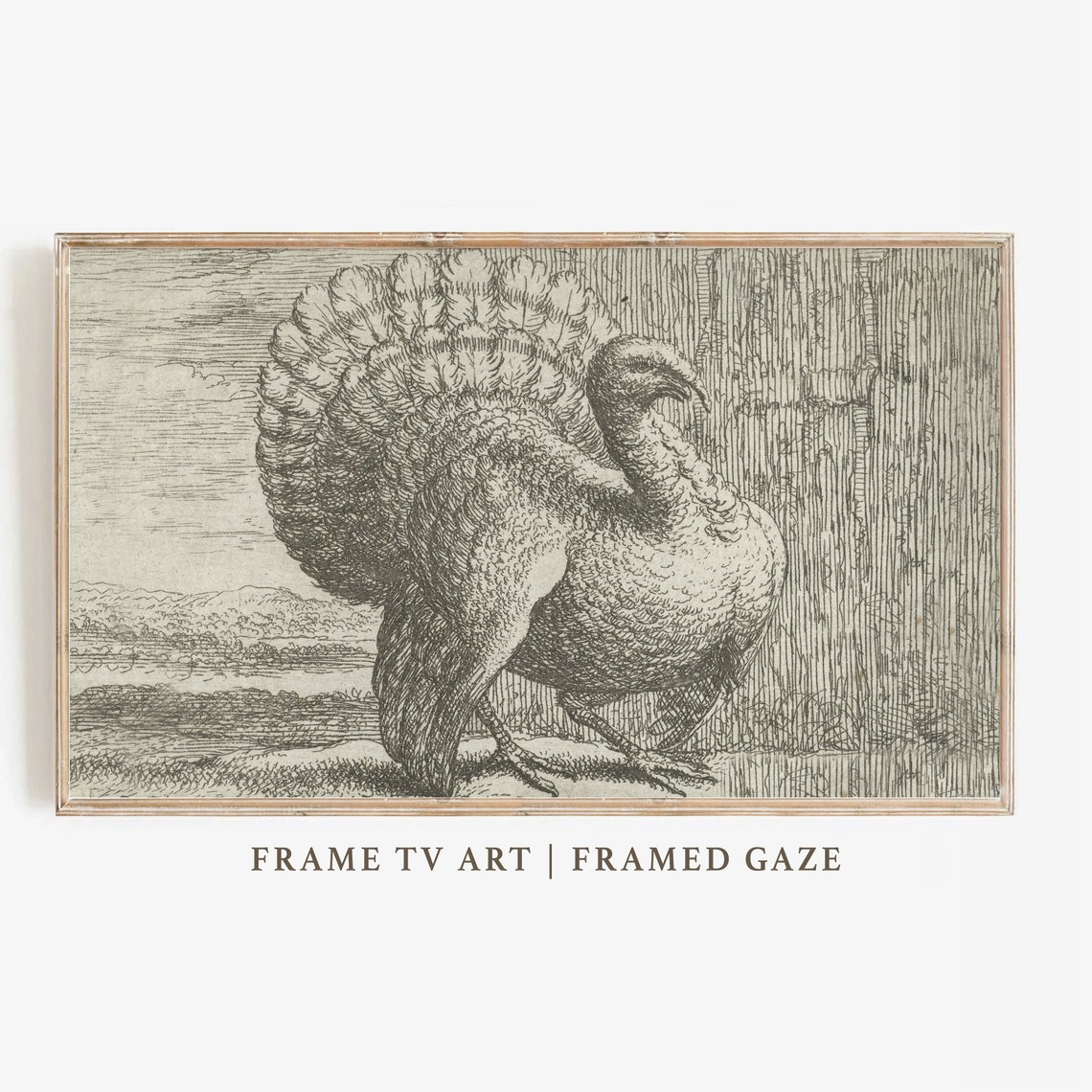 Vintage Turkey Engraving Antique Thanksgiving Bird Frame TV Wall Art