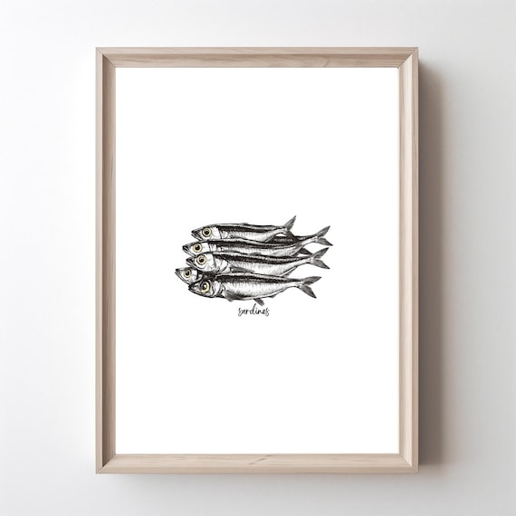Vintage Sardine Art Print Poster Kitchen Decor Minimalist Wall Seafood Drawing Illustration