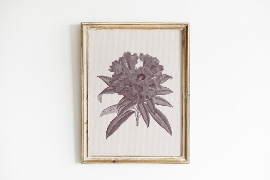 Classic Antique Botanical Flower Illustration Vintage Garden Poster - Image 6