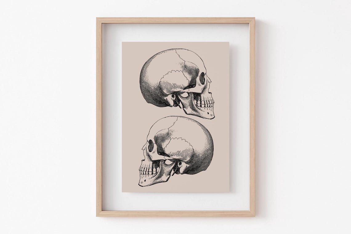Vintage Anatomical Skull Engraving Dual Skeleton Gothic Art Poster - Image 6