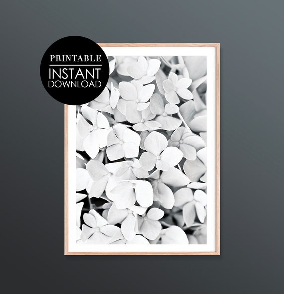 Hydrangea Print Flower Wall Art Decor Botanical Neutral Floral Minimalist Black White