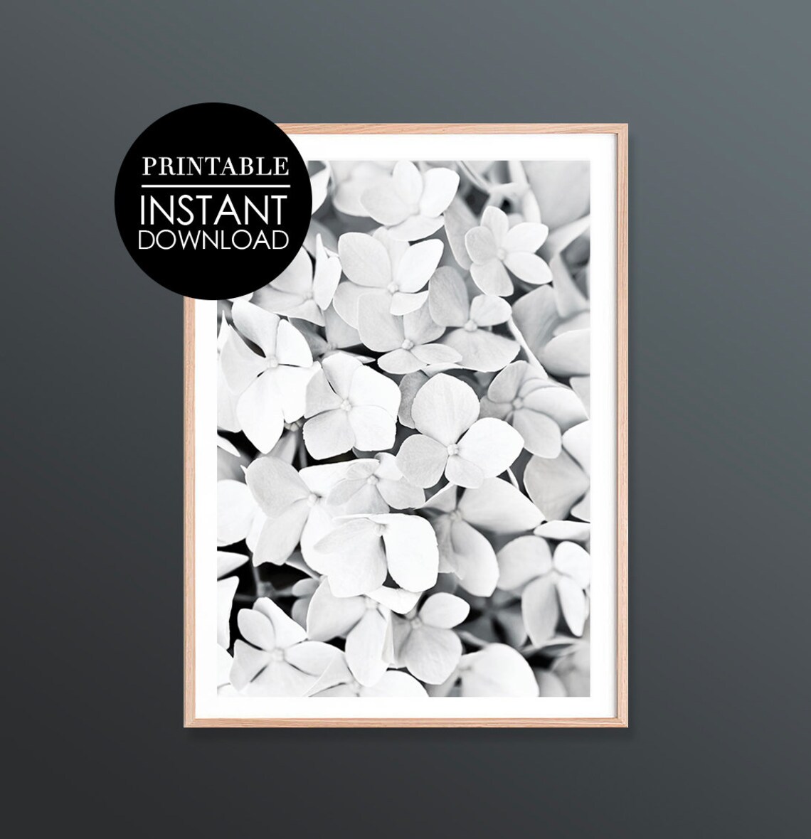 Black and White Hydrangea Blossoms Minimalist Floral Photography Wall Decor Print