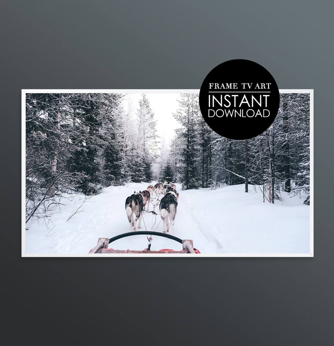 Husky Dog Sled Team Snowy Forest Winter Adventure Photo Poster