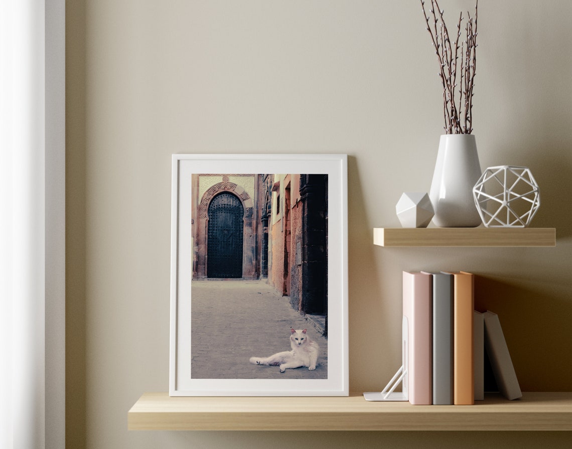 Stray Cat Photography Print Cat Photo Poster Morocco Photography Travel Photography Animal Photography Animal Photography Wall Art - Image 3