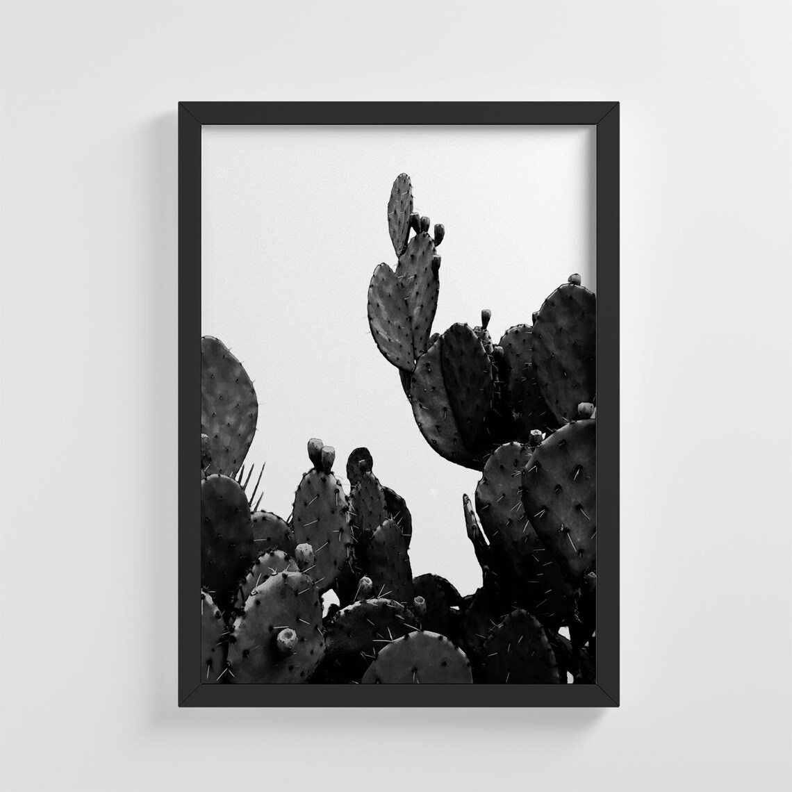 Desert Cactus Photo Poster, Nursery Decor