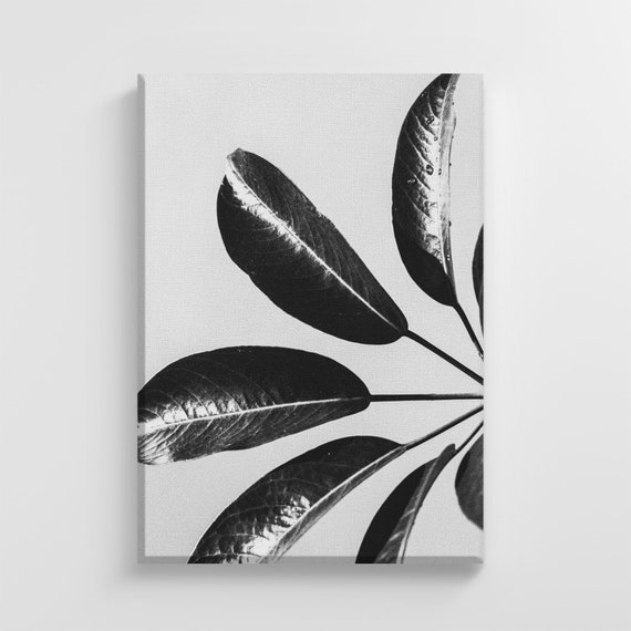 Pale Black Tropical Plant Leaves Large Nature Art Print Stylish Home Decoration Wall Art Nursery Decor Living Room Ic174