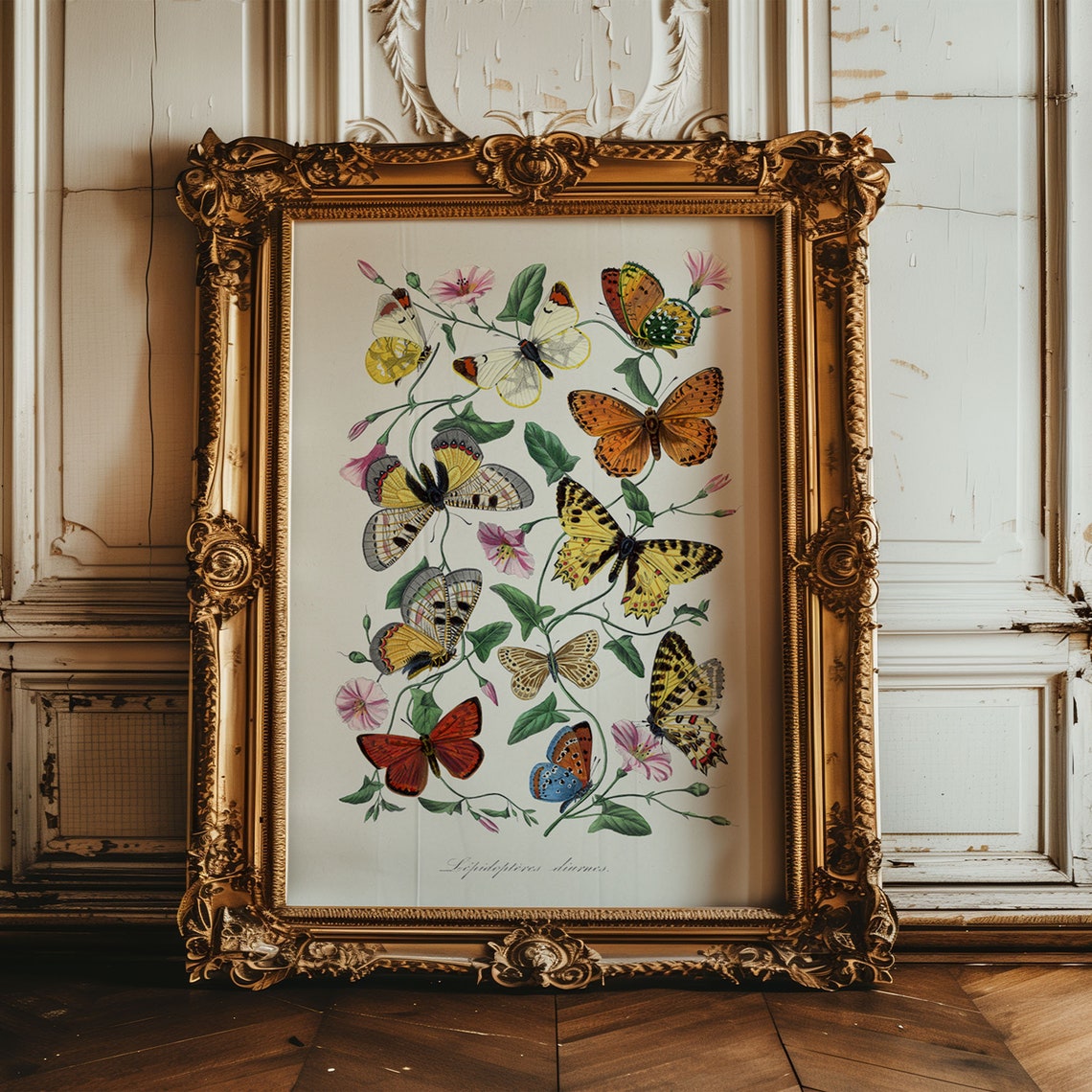 Vintage Butterflies Botanical Entomology Illustration Poster - Image 6