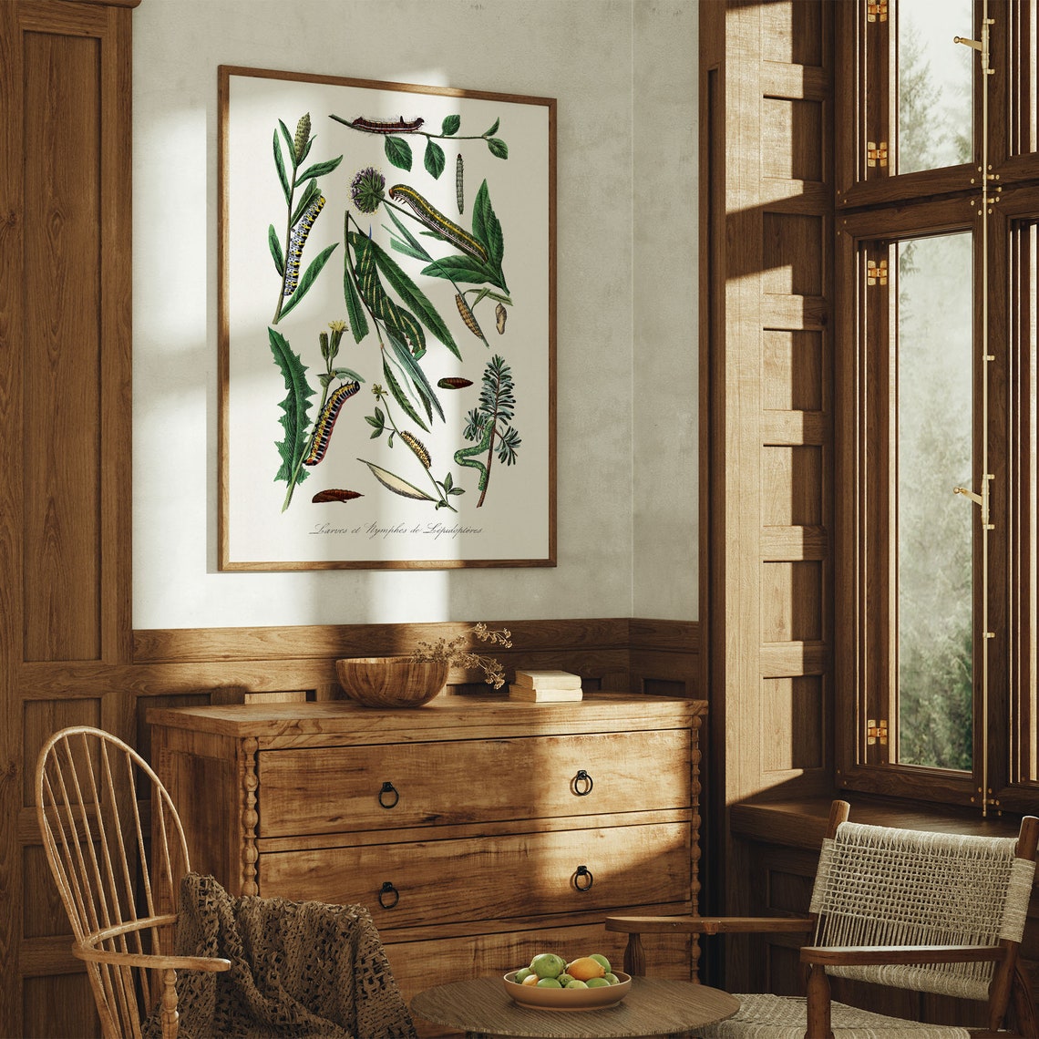 Vintage Caterpillar Entomology Plate Botanical Illustration Art Poster - Image 3