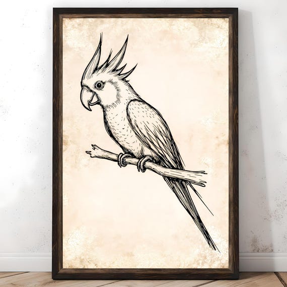 Vintage Parrot Sketch Print Rustic Bird Ink Drawing Wall Art Minimalist Tropical Poster Farmhouse Decor