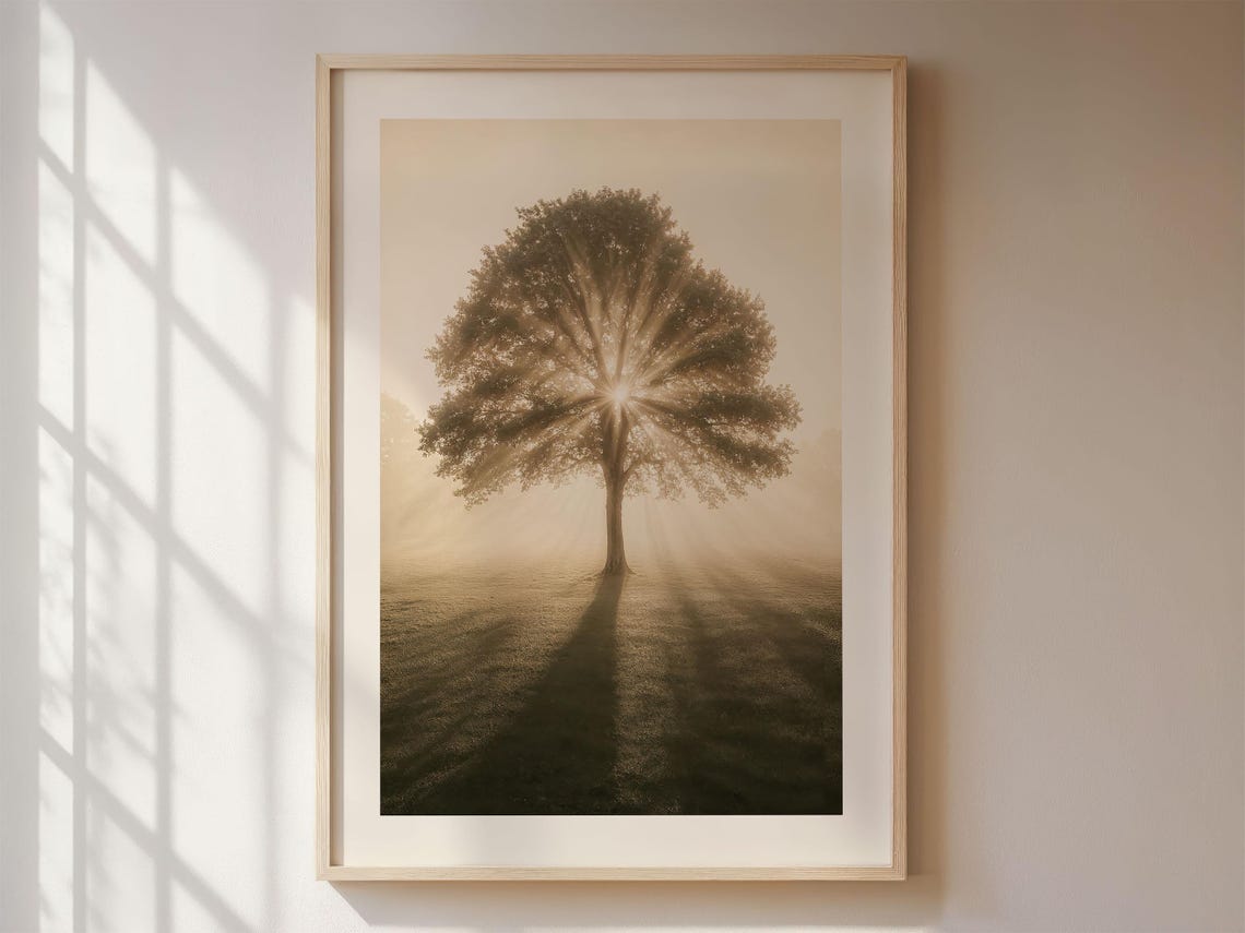 Tree In Sunrise, Minimalist Nature Photography Poster