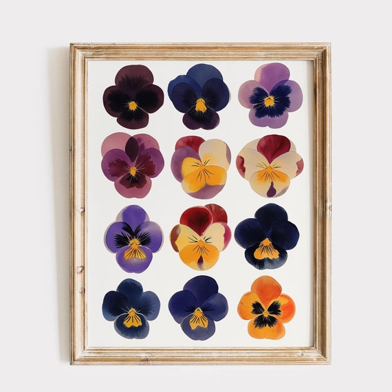 Pansies Print Pressed Flower Botanical Wall Art