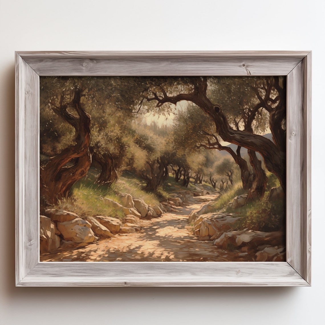 Olive Grove Tree Path Sunlit Stone Trail Oil Painting Poster