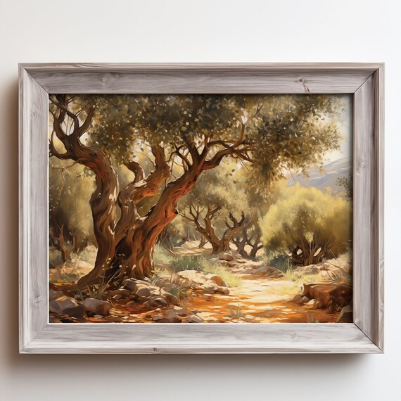 Ancient Olive Tree Sun Dappled Grove Dirt Path Oil Painting Poster