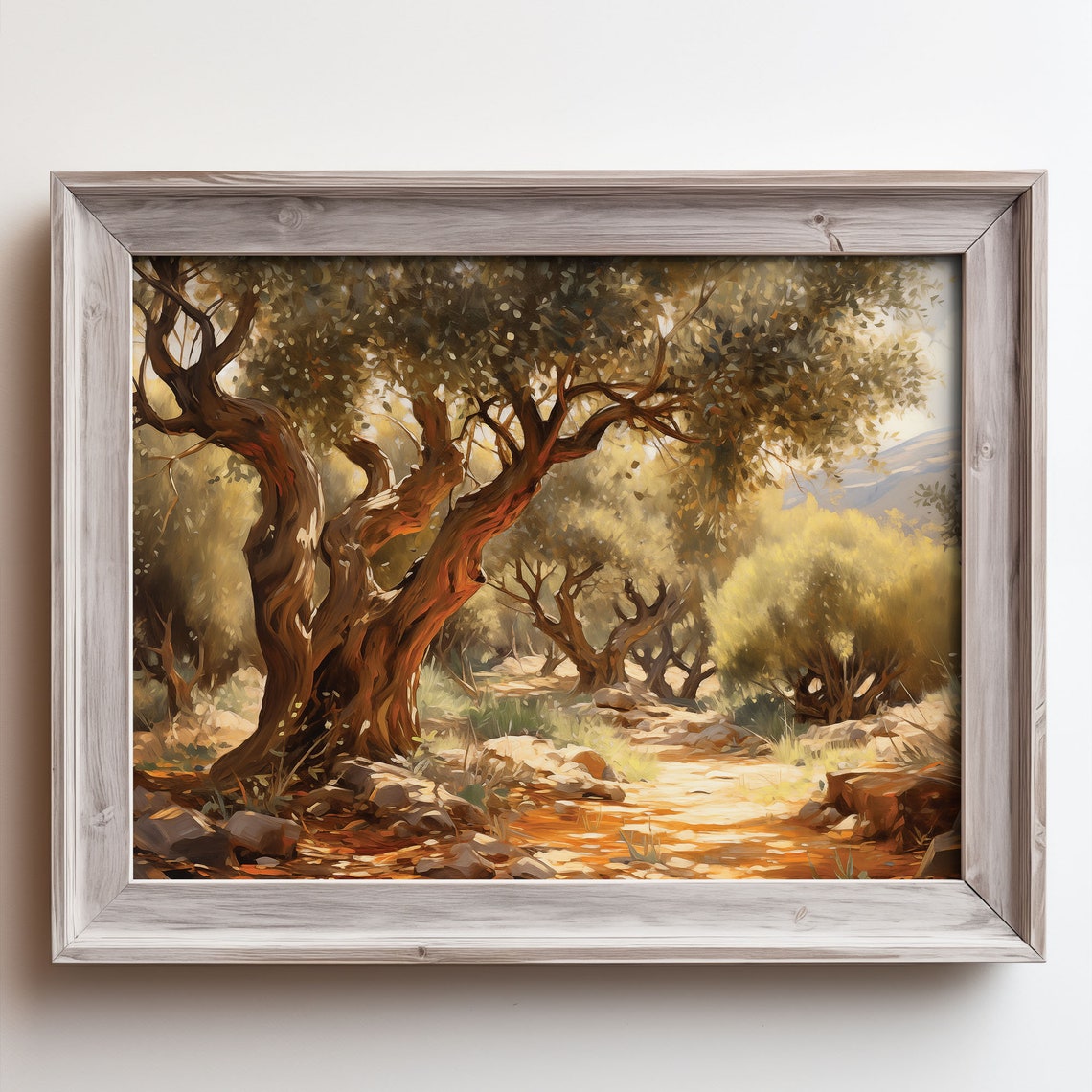 Ancient Olive Tree Sun Dappled Grove Dirt Path Oil Painting Poster