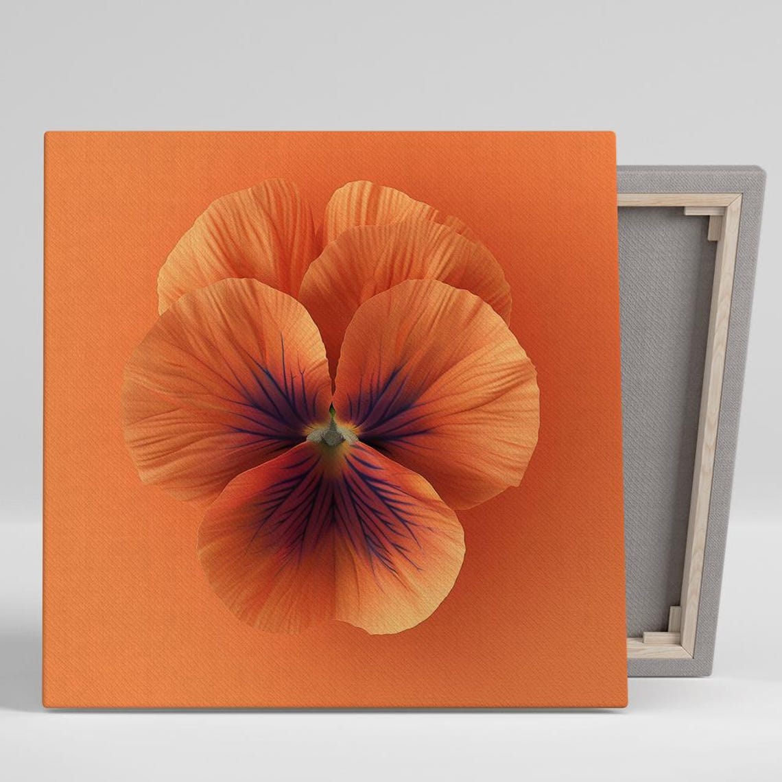 Orange Pansy Flower Macro Bold Minimalist Botanical Wall Art