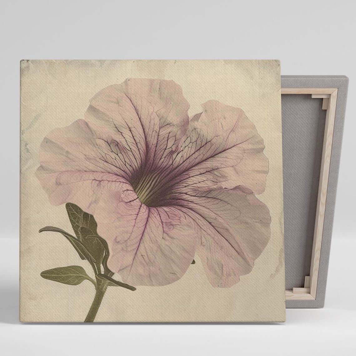 Pale Mauve Petunia Macro Vintage Beige Botanical Photography Poster