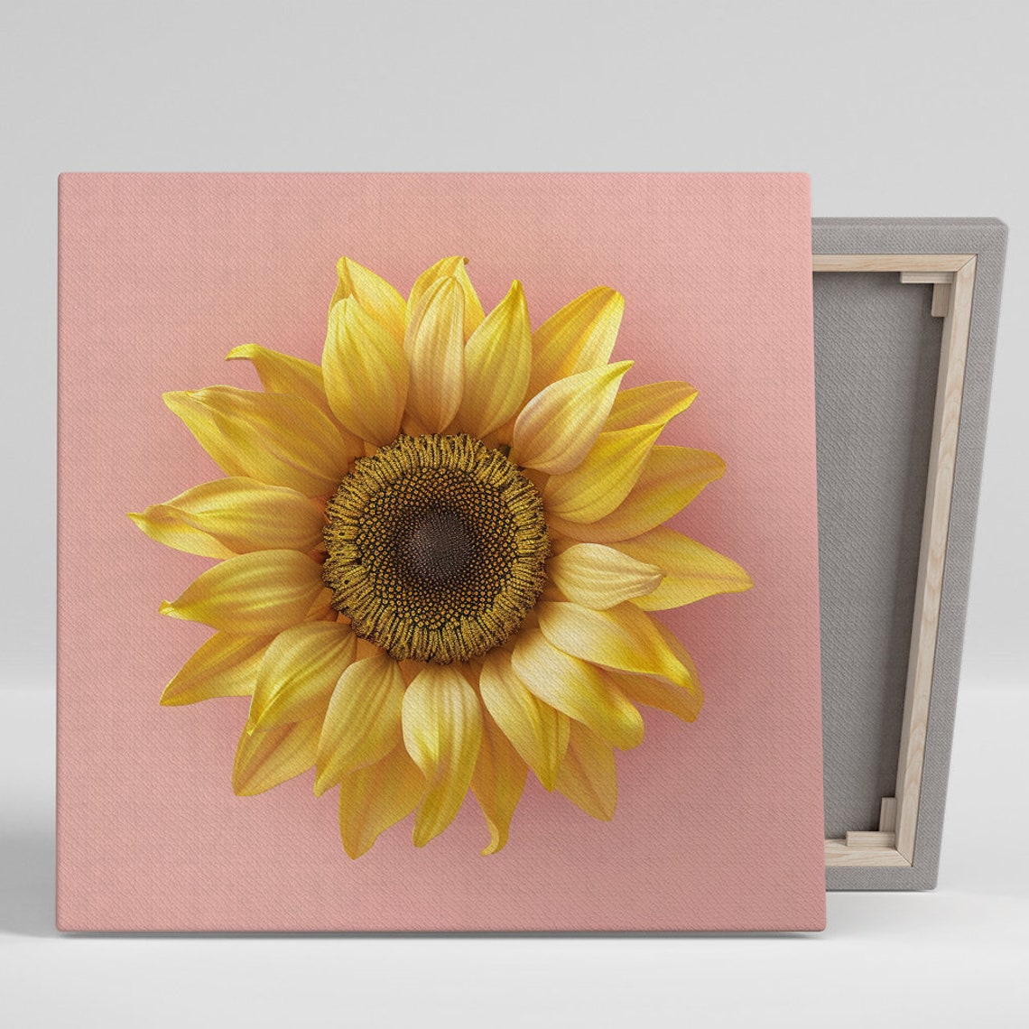 Golden Sunflower Pink Background Modern Minimalist Bloom Art Print