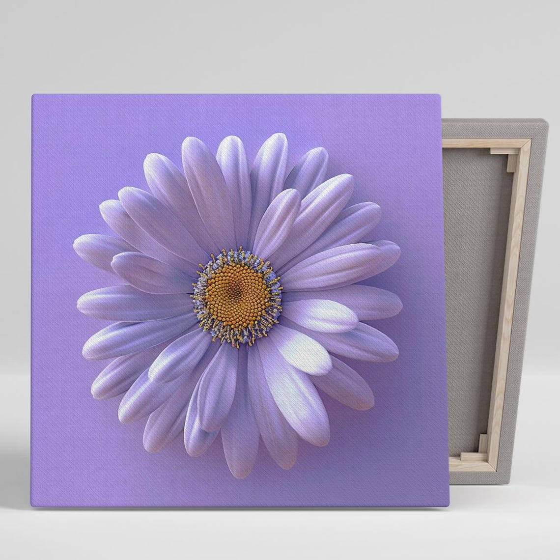 Purple Daisy Bloom Close Up Lavender Minimalist Floral Wall Art