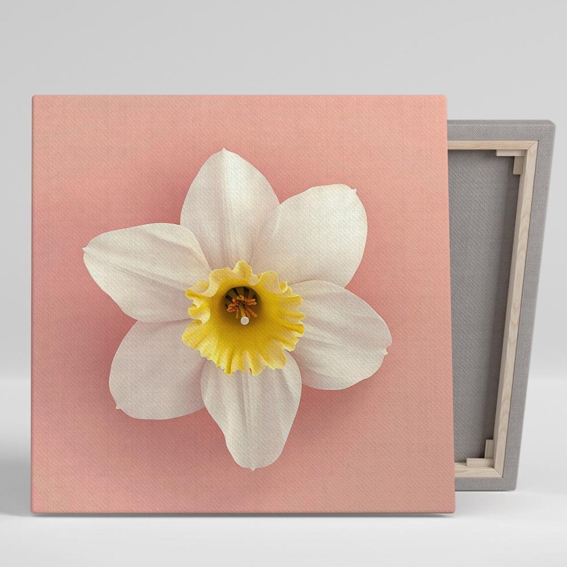 White Daffodil Yellow Trumpet Pink Minimalist Modern Floral Print