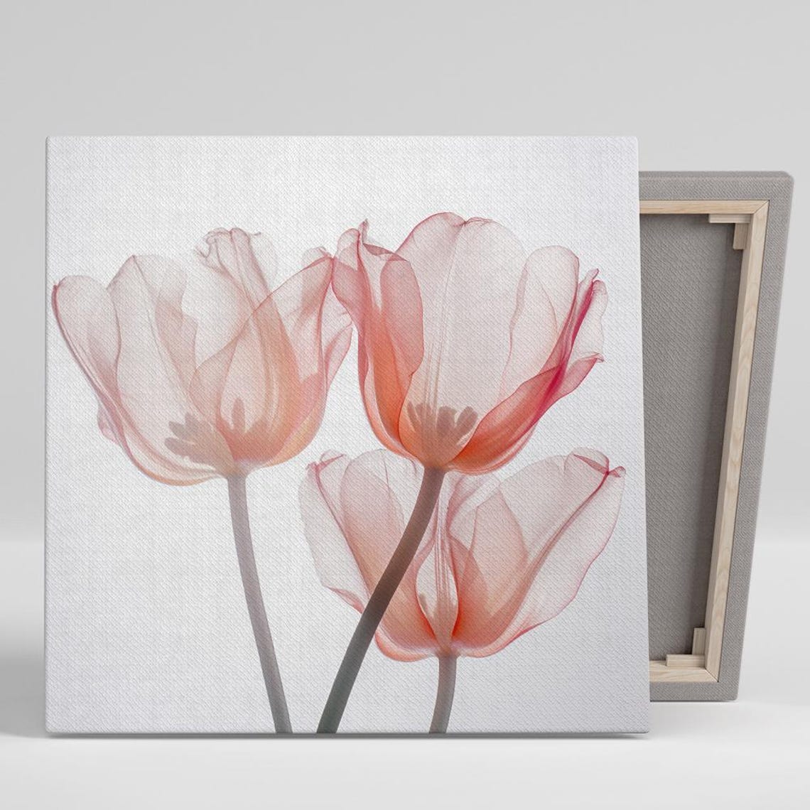 Blush Tulips Translucent Minimalist White Modern Floral Art Print