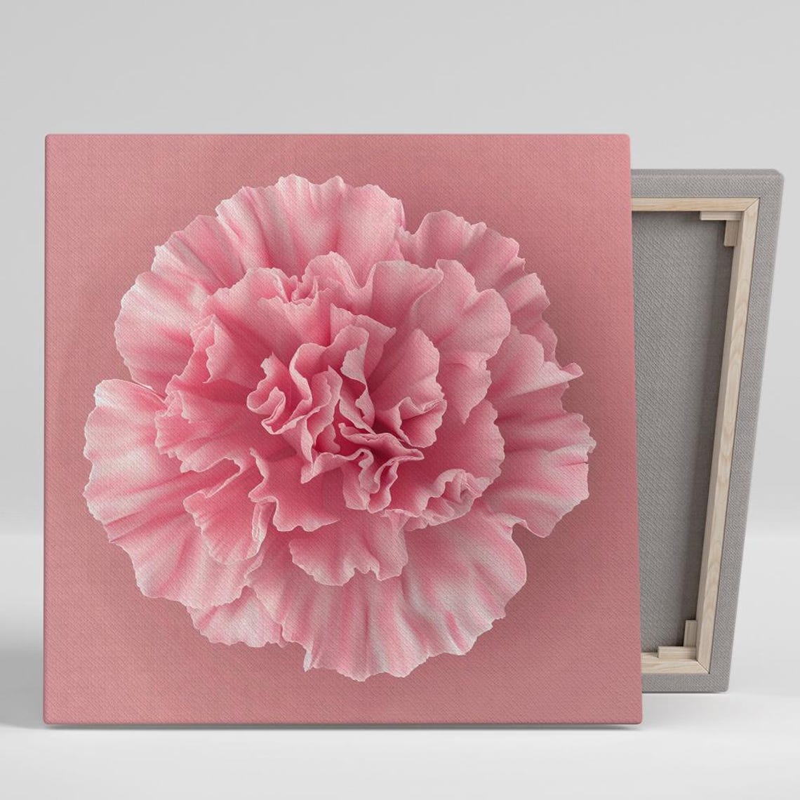 Giant Pink Carnation Macro Minimalist Blush Modern Floral Print
