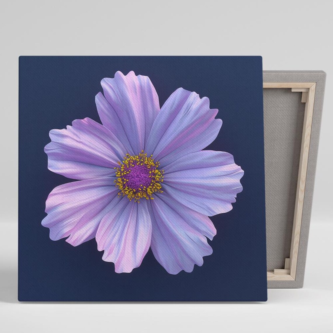 Lavender Cosmos Wavy Petals Navy Background Dreamy Floral Poster