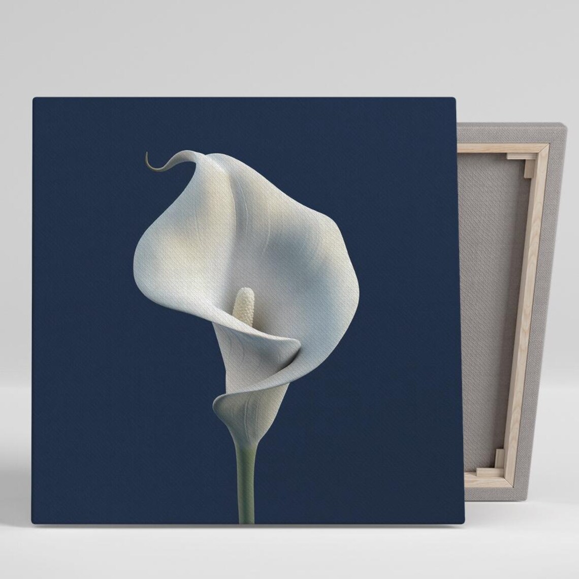 Calla Lily Contemporary Minimalism Art Print