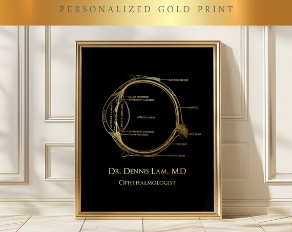 Optometrist Gift Framed Gold Anatomy Optometry Art Ophthalmologist Gift Eye Surgeon Gift Eye Doctor Gifts Ophthalmology Wall Art