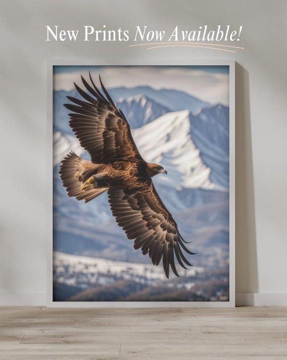 Soaring Eagle Wall Art Posters Cafe Decor Home World Poster Design