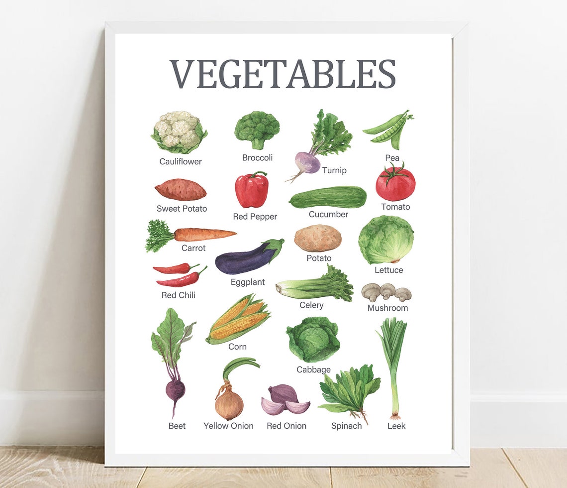 Watercolor Vegetables Botanical Chart Educational Kitchen Poster