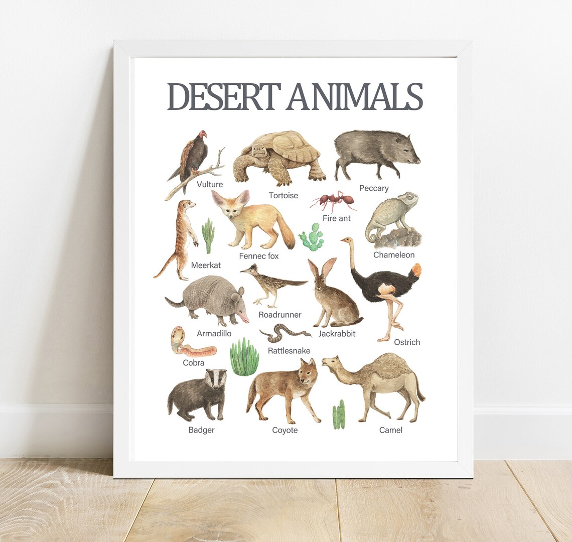 Desert Animals Watercolor Chart Educational Kids Wildlife Learning Poster