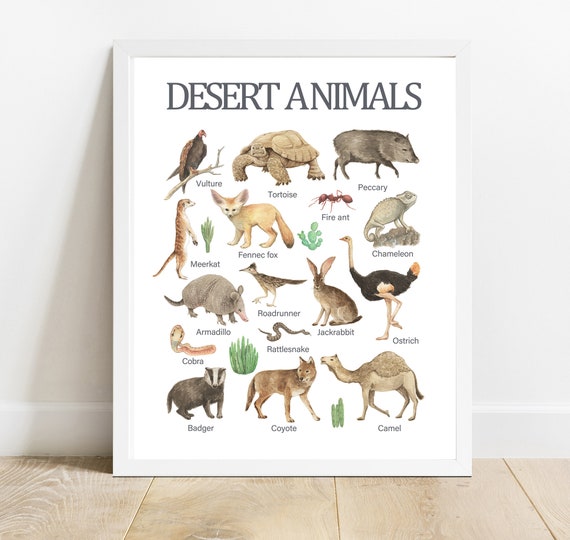 Watercolor Desert Animals Print Educational Homeschool Decor